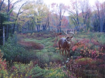 Deer Painting - Autumn landscape WhitetailL